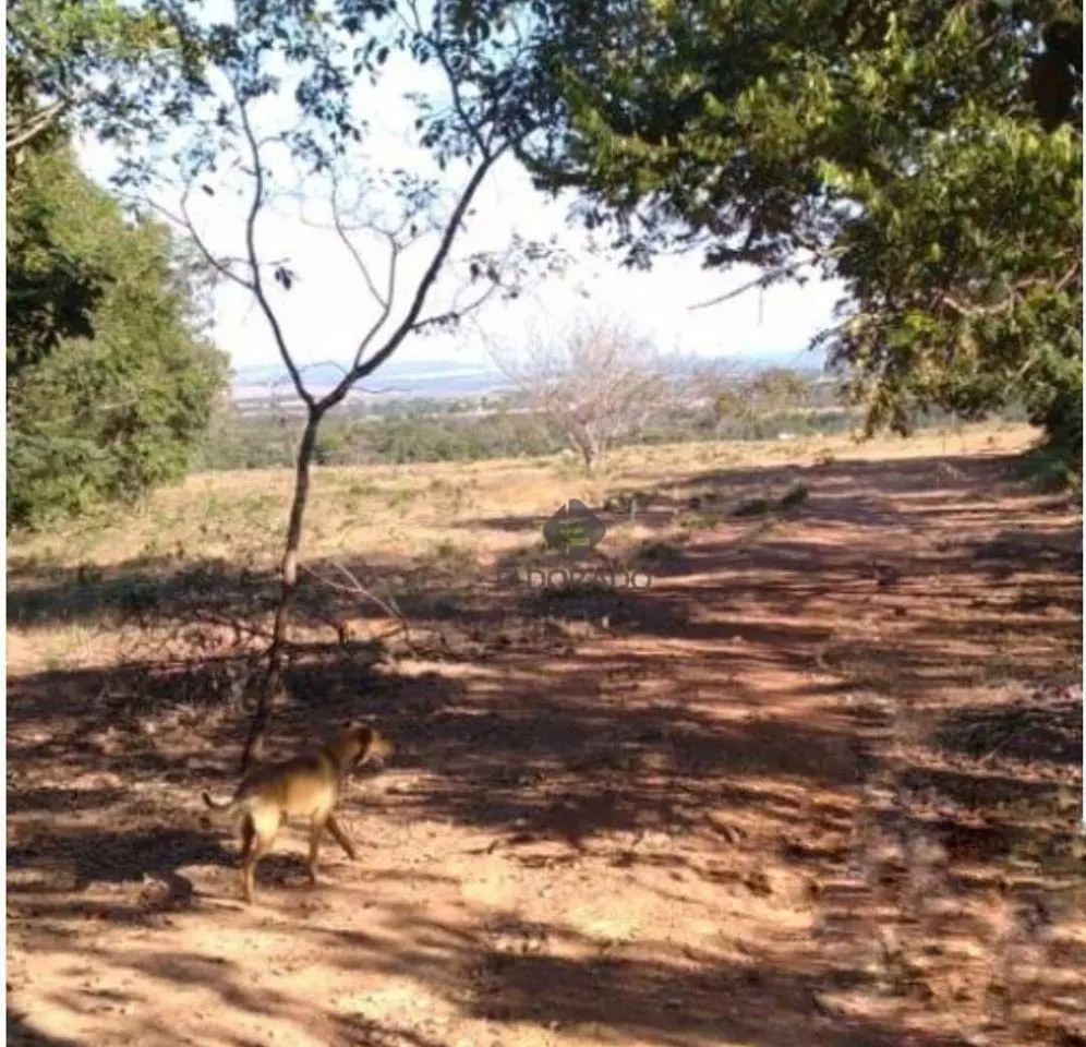 Eldorado Imobiliária apresenta: Excelente fazenda à venda em Água Fria de Goiás ...