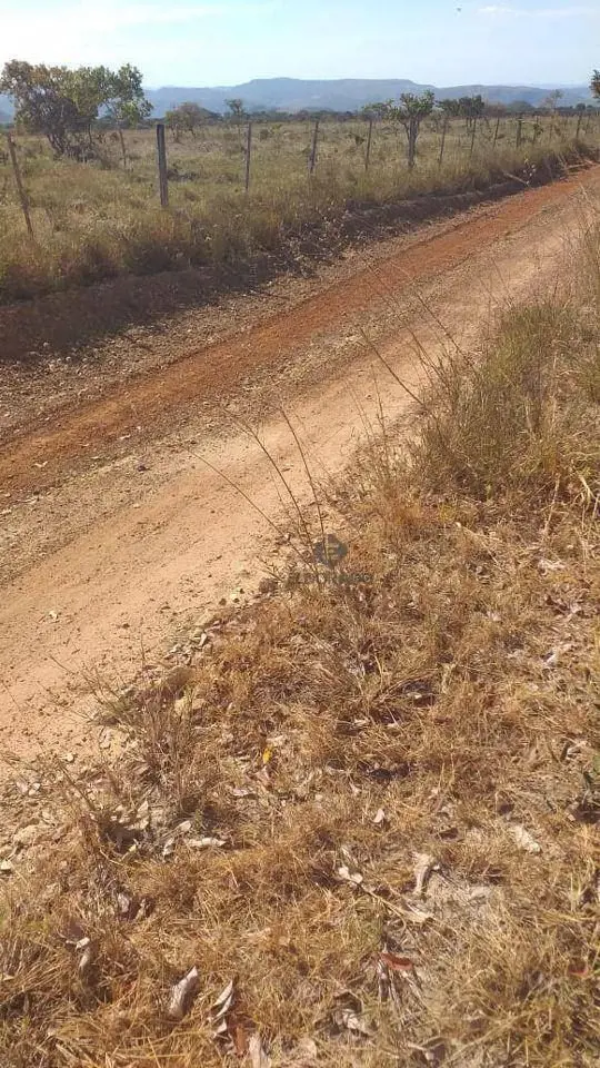 Eldorado Imobiliária apresenta: Fazenda de grande porte à venda no município de ...