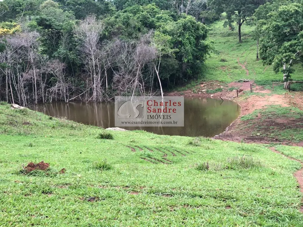 Fazenda em Marzagão - GO 240 alqueires (1.161 hectares), sendo 53 de bioma Mata ...
