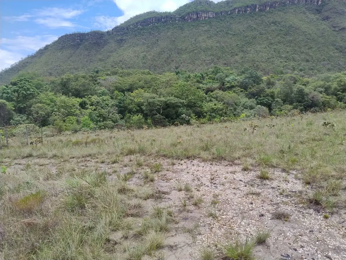 Vendo Chácaras Escrituradas 4 ha na Chapada dos Veadeiros – Natureza, Tranquilid...