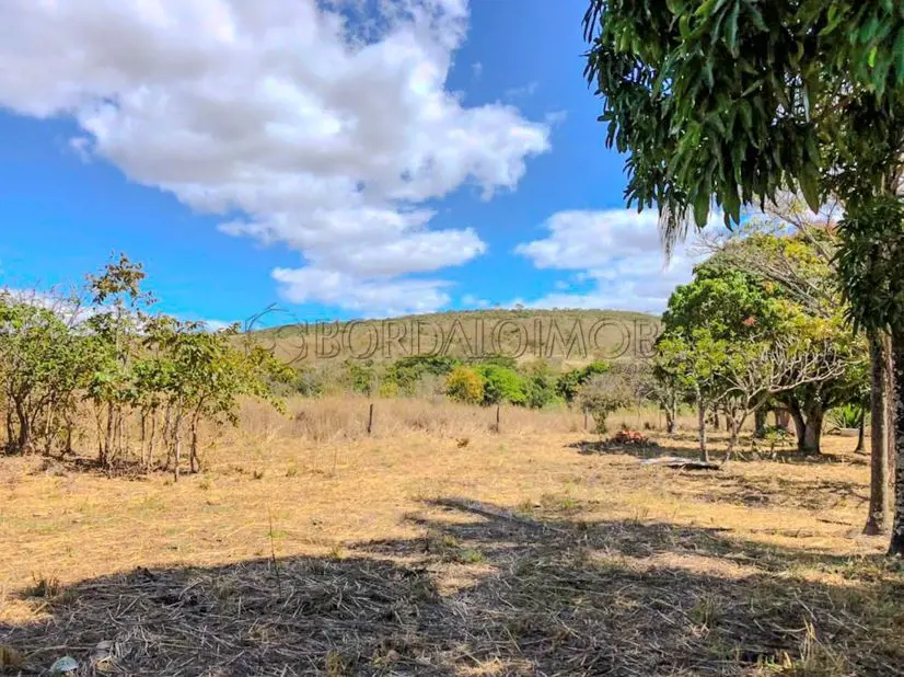 VILLA151247 - Última atualização: 14/04/26 23:30 FAZENDA CANA BRAVA Flores de Go...