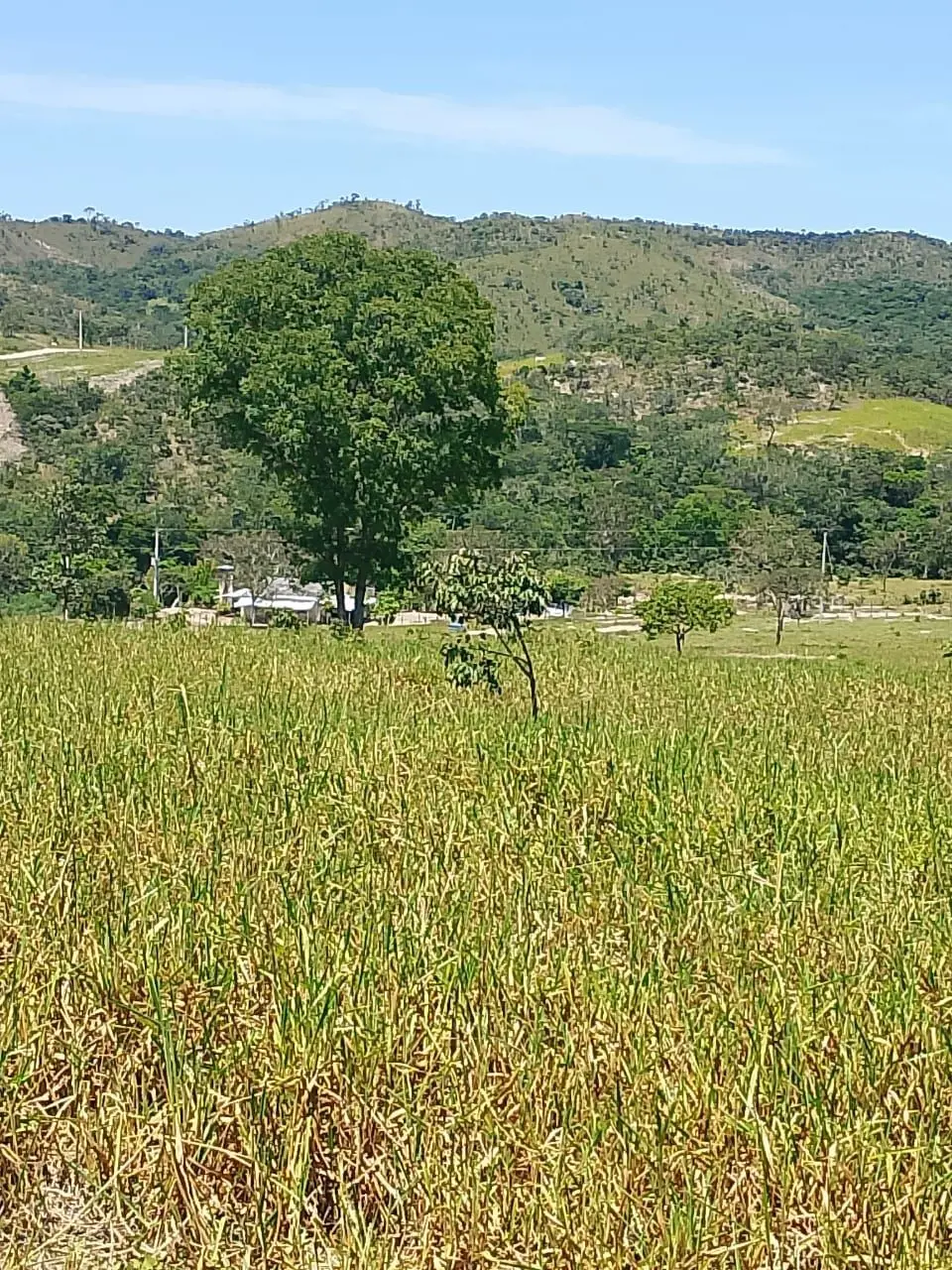 Vende essa chácara 4.8 hectares distane de Aguá Fria apenas 7 km da cidade no lo...