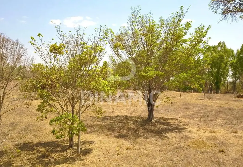 OPORTUNIDADE ÚNICA: CHÁCARA DE 27.500m² EM BELA VISTA DE GOIÁS( ID 08) Localizad...