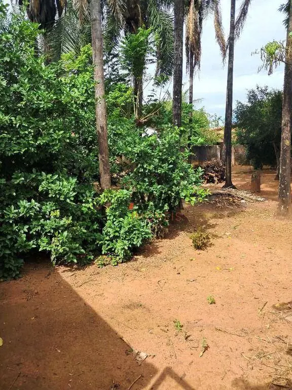 Area com 2.635 m² com casa de 3 quartos no centro de São Luiz de Montes Belos. A...