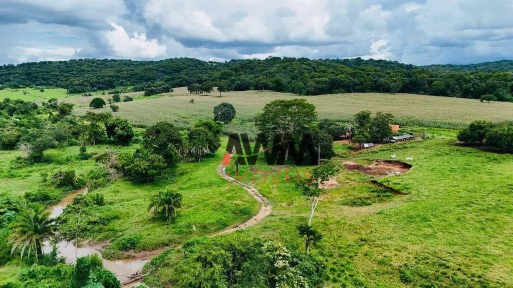 Codigo :FA0315Oportunidade de comprar a melhor terra a venda em Goiás20 alqueire...