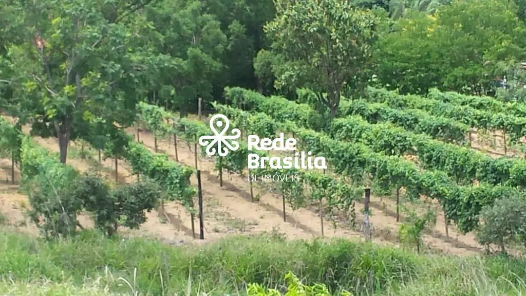RODOVIA DF 250, CHÁCARA SÃO JOSÉ - PARANOÁSe você busca tranquilidade, espaço e ...