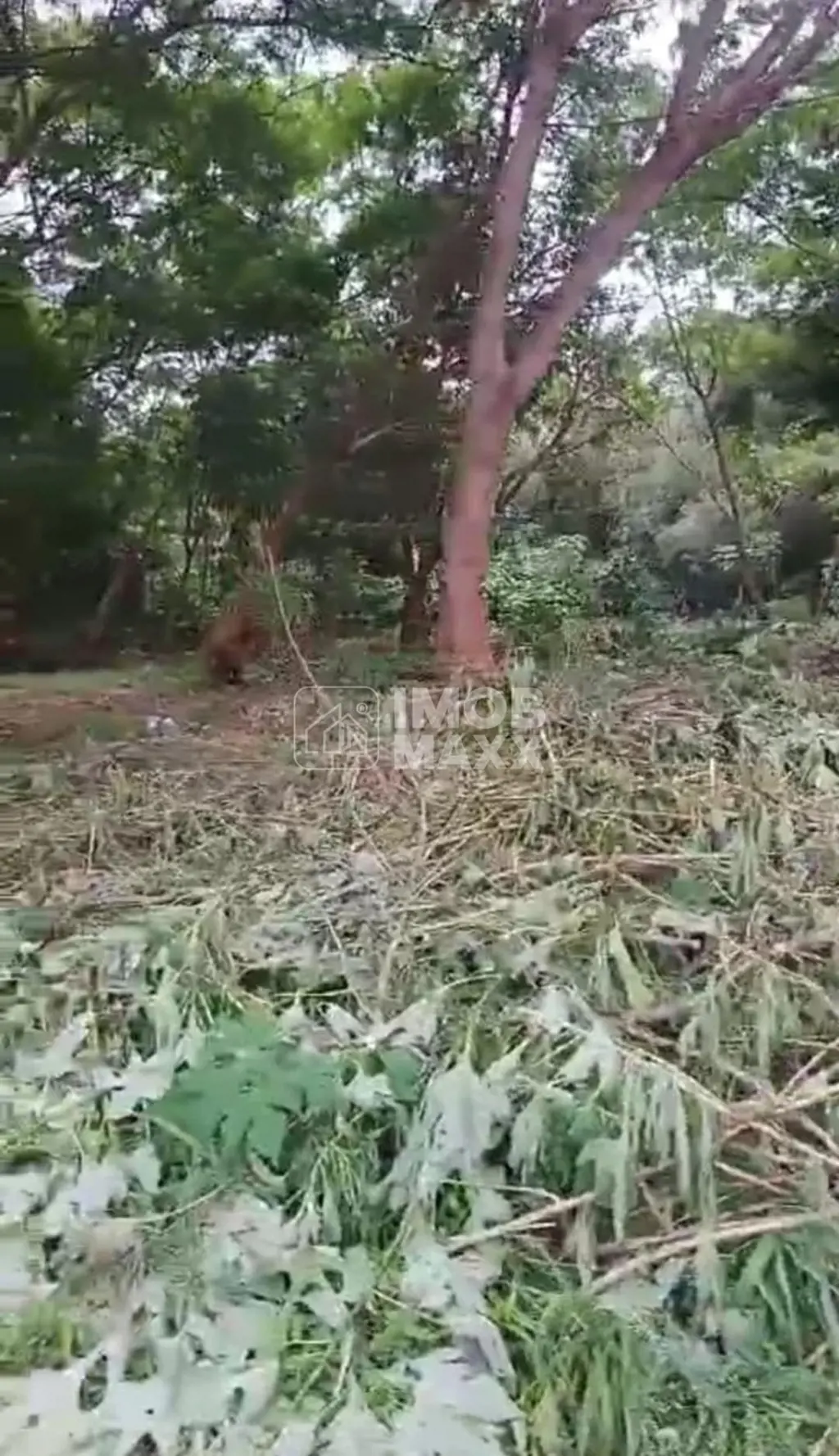 Descubra o endereço perfeito para construir a casa dos seus sonhos! Este lote ex...