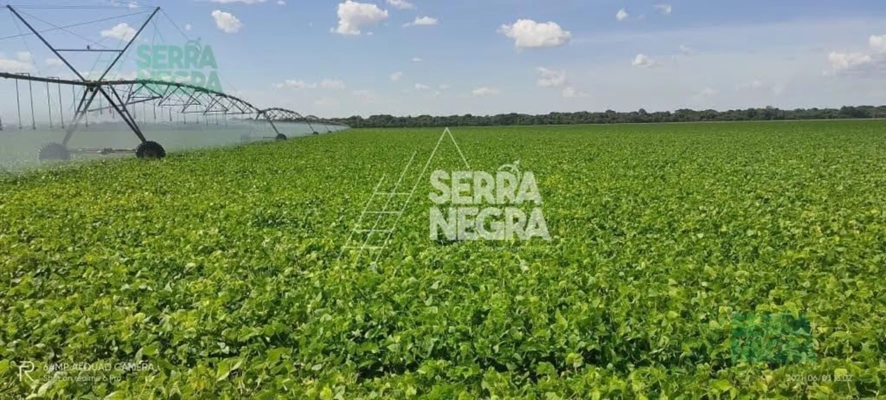 FAZENDA 1.100 ALQUEIRES JUSSARA GOIÁS.TOPOGRAFIA PLANA .DADOS PLUVIOMÉTRICO 1.60...