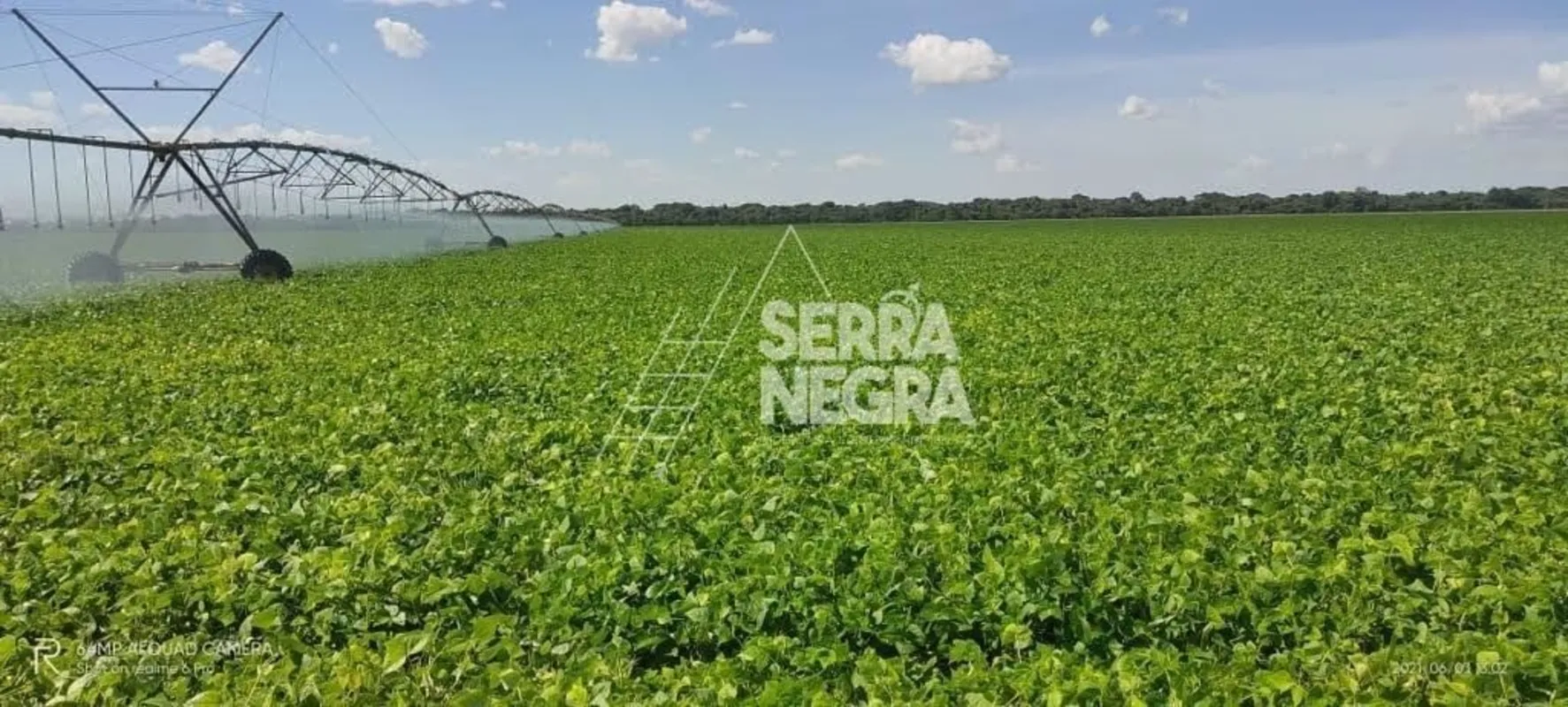 FAZENDA 1.100 ALQUEIRES JUSSARA GOIÁS.TOPOGRAFIA PLANA .DADOS PLUVIOMÉTRICO 1.60...