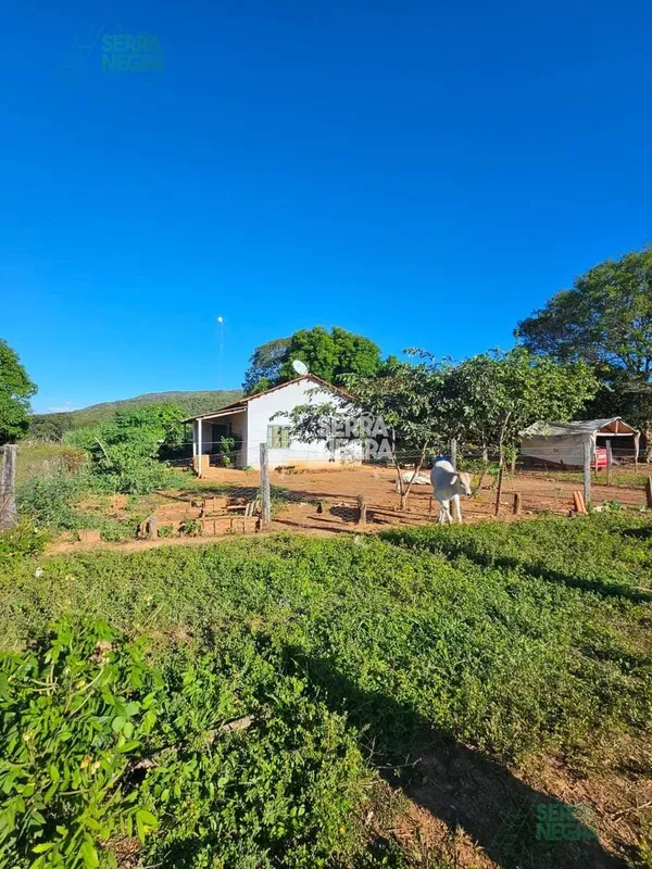 Fazenda em Buritis de Minas - MG - 333 hectares- De 170ha a 200ha - Gradeáveis- ...