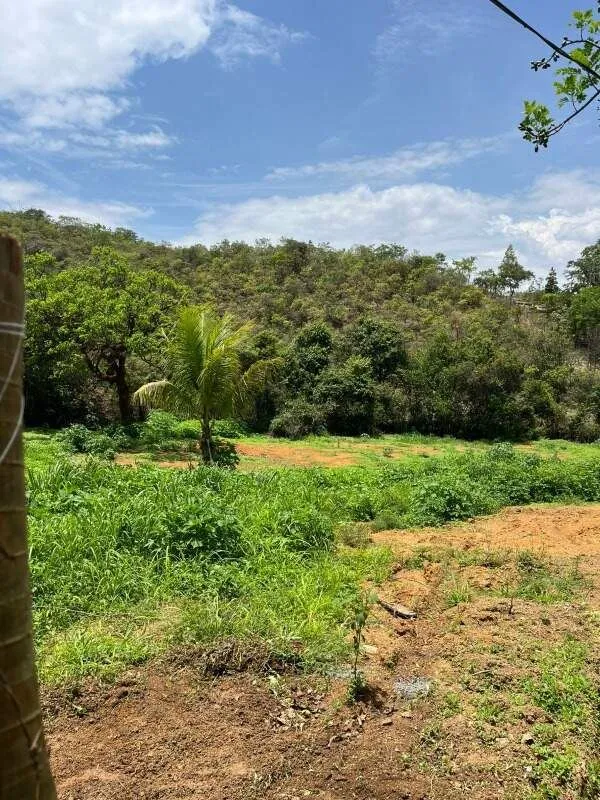 Excelente Chácara de 2 Hectares com Tanques de Peixes no Setor de Chácaras P Sul...