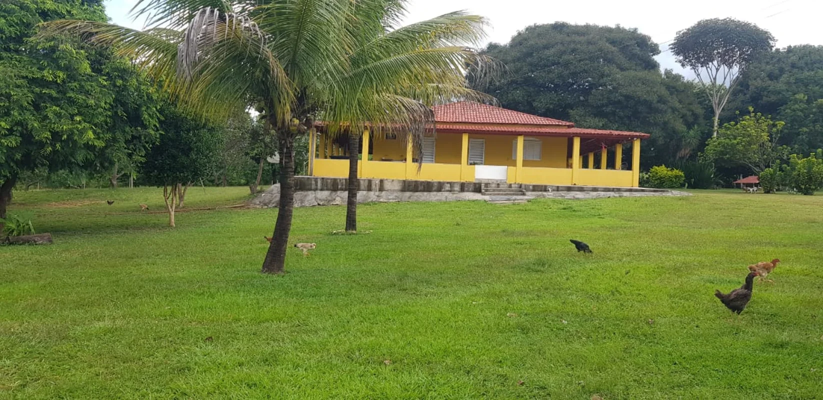 Foto do Imóvel