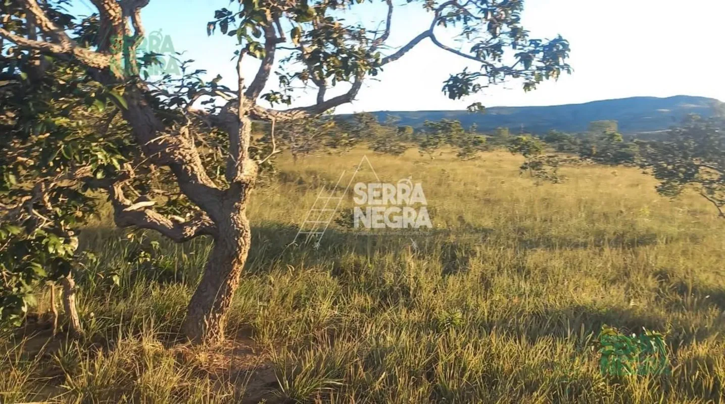 - 330 Hectares- 30 km de estrada de chão- Fazenda para formar - não possui benfe...