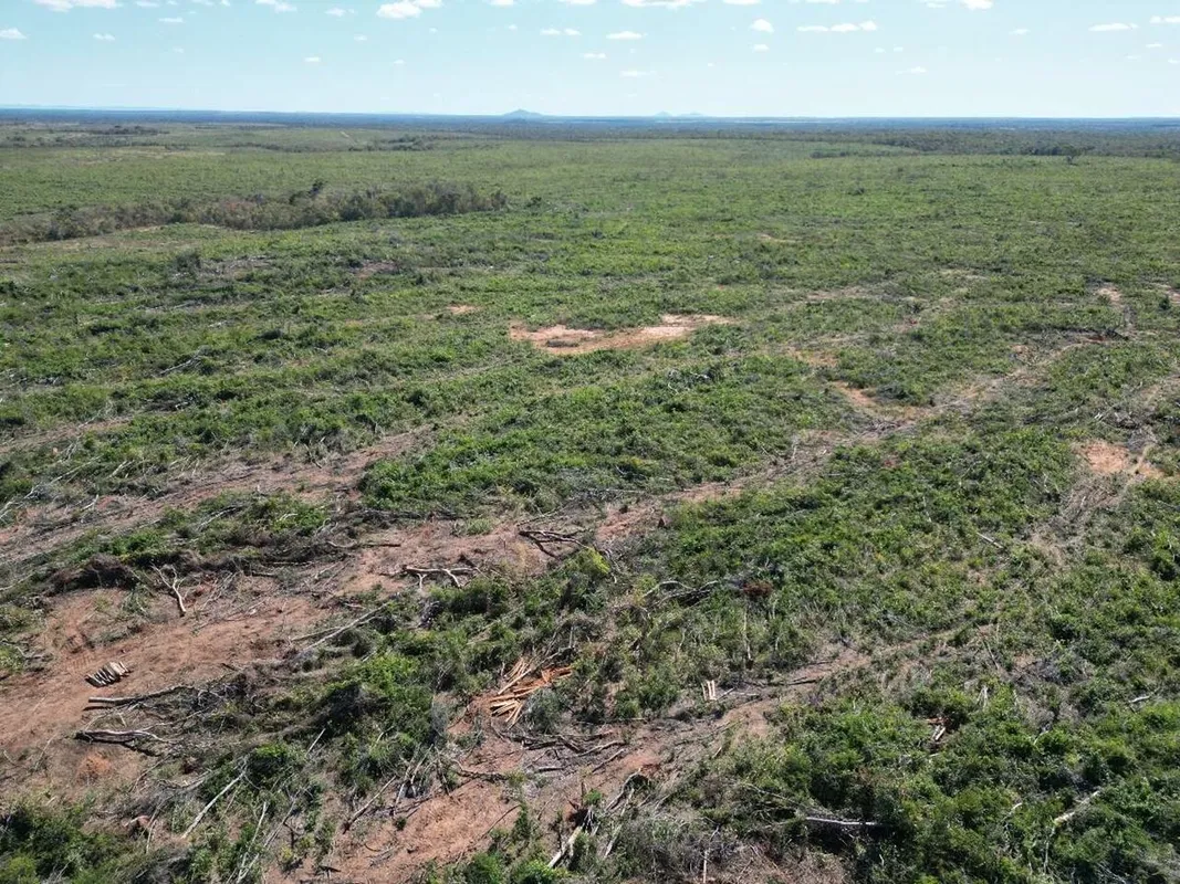 Fazenda das Vertentes- Tocantins.Área total com 454 alqueires com 202 alqueires ...