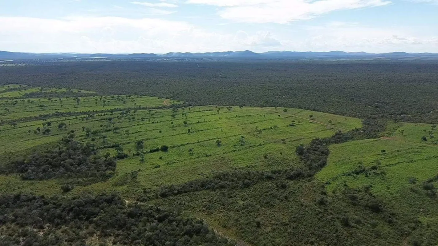 GRANDE OPORTUNIDADE! fazenda espetacular a 8 km da BR-242, em Paranã- TO com áre...