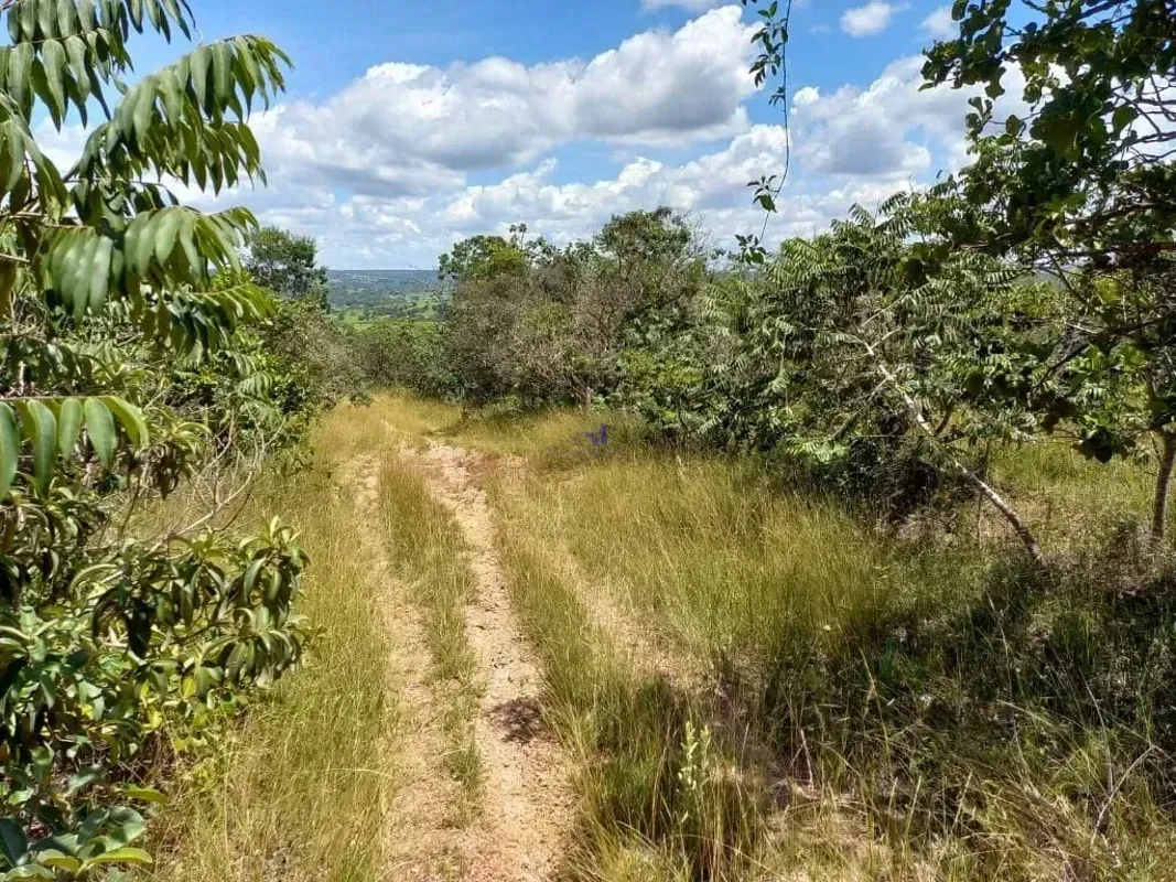 Cláudio Antônio Imóveis!!!Vende fazenda com 45 Alqueires goianos, aproximadament...