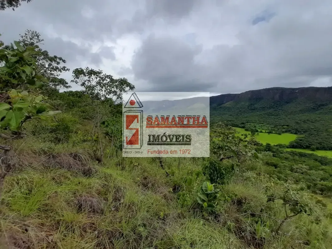 QUE TAL SER DONO DE UMA UNIDADE DE CONSERVAÇÃO (UC)?Existem parques, reservas, e...