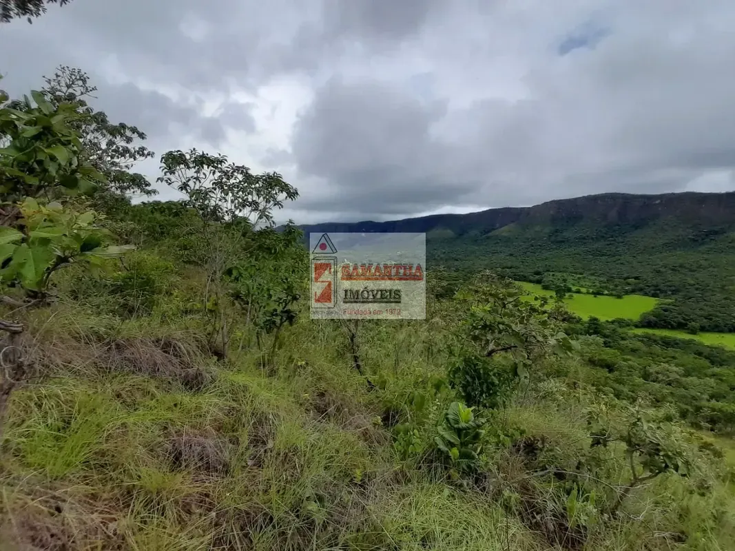 QUE TAL SER DONO DE UMA UNIDADE DE CONSERVAÇÃO (UC)?Existem parques, reservas, e...