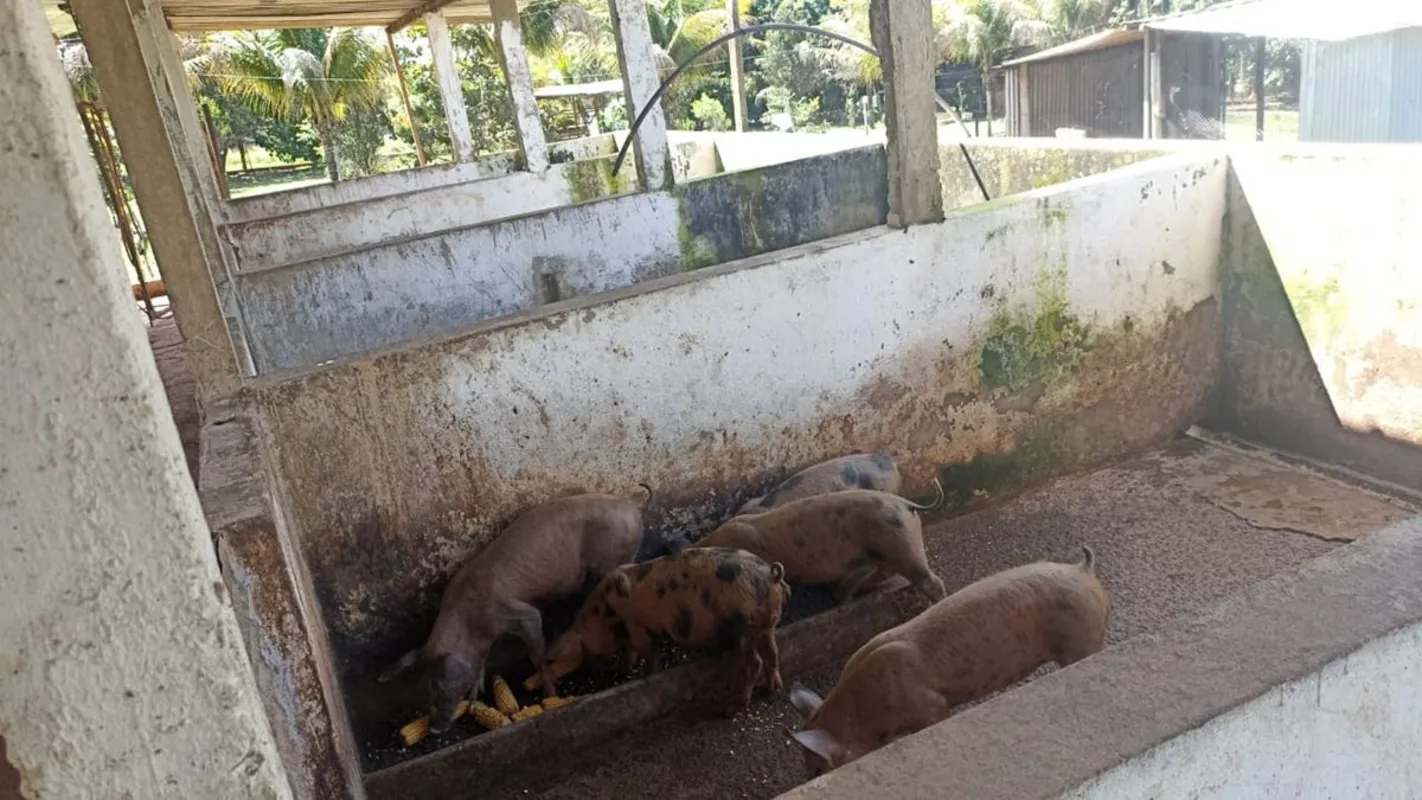Foto do Imóvel