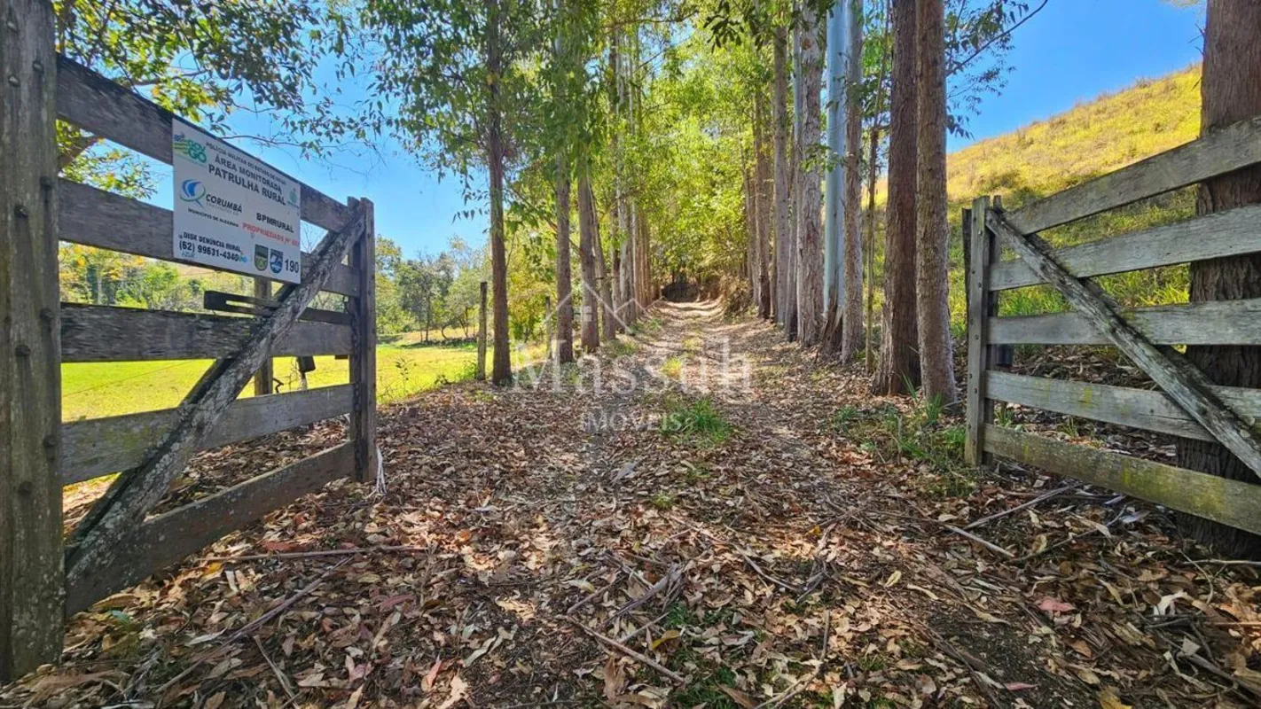 MASSUH IMÓVEIS VENDE:ALEXÂNIA - GO CASA:- 3 QUARTOS SENDO 1 SUÍTES - 2 BANHEIROS...