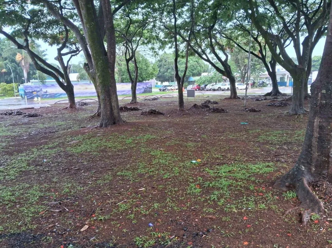 Terreno Comercial de 250 m² na SRES - Cruzeiro VelhoOportunidade única. Terreno ...