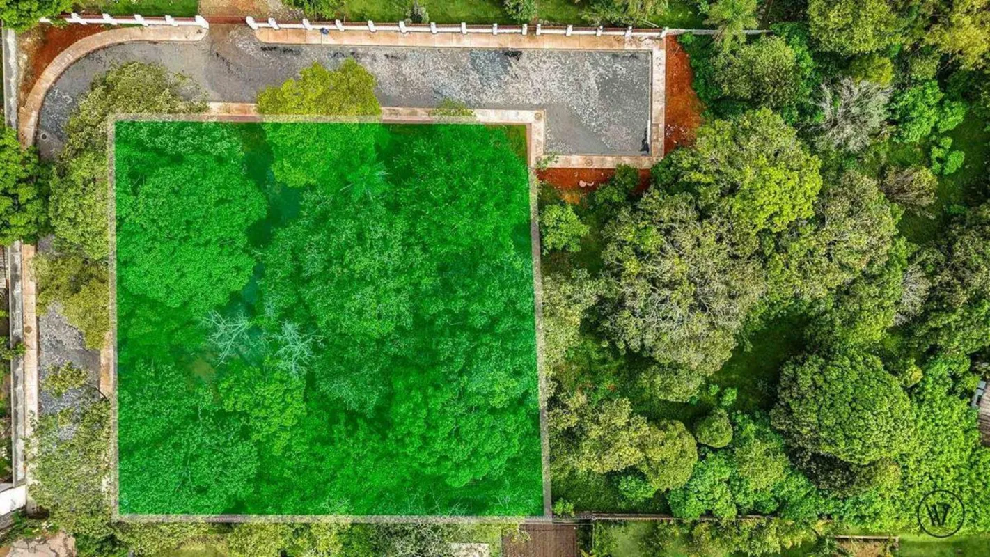 SHIS QI 25 Chácara 5 - TERRENO DE CHÁCARAVocê é apaixonado por pássaros e nature...