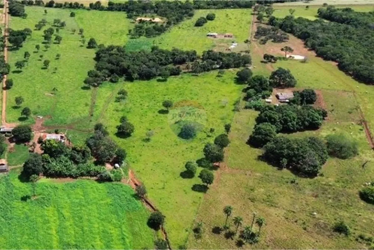 Sítio rural de 36,01 hectares com excelente aptidão produtiva, topografia predom...