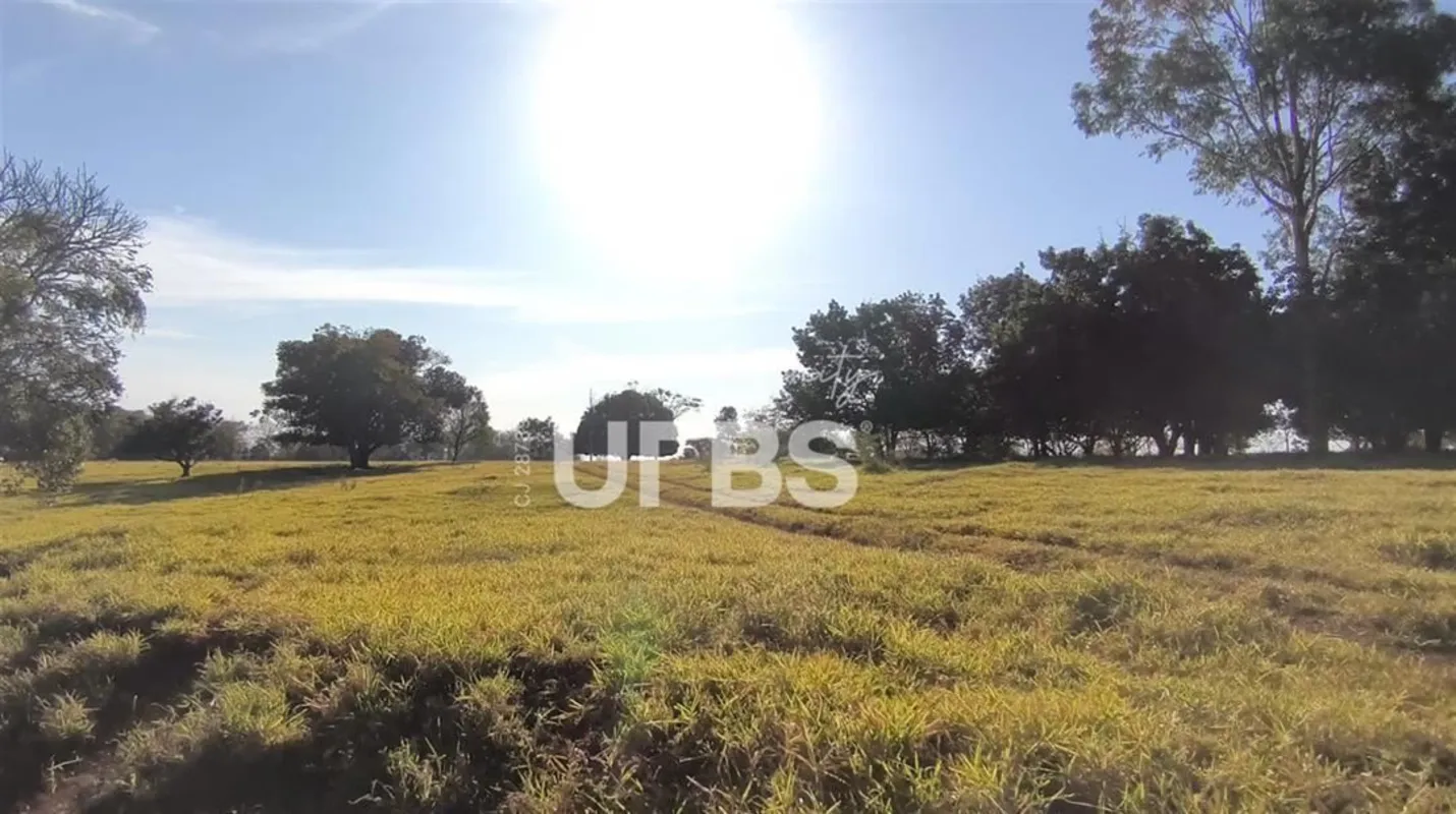 COD U-0027647 - Araguari/MG: Fazenda com Potencial Triplo - Mineração, Agropecuá...