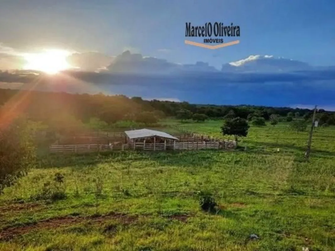 Fazenda com 1.030ha dupla aptidão, pecuária ou grãos com duas safras ano, média ...