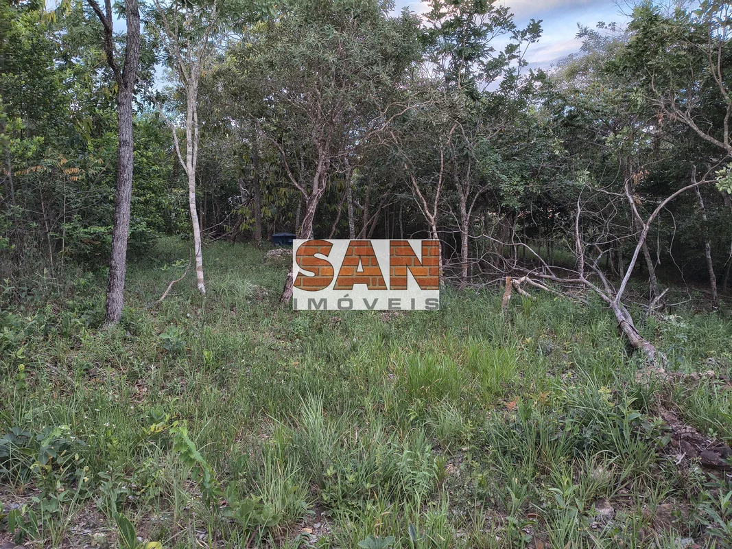 Vende-se Chácara no Setor Tororó – 2,5 Hectares EscrituradosExcelente oportunida...