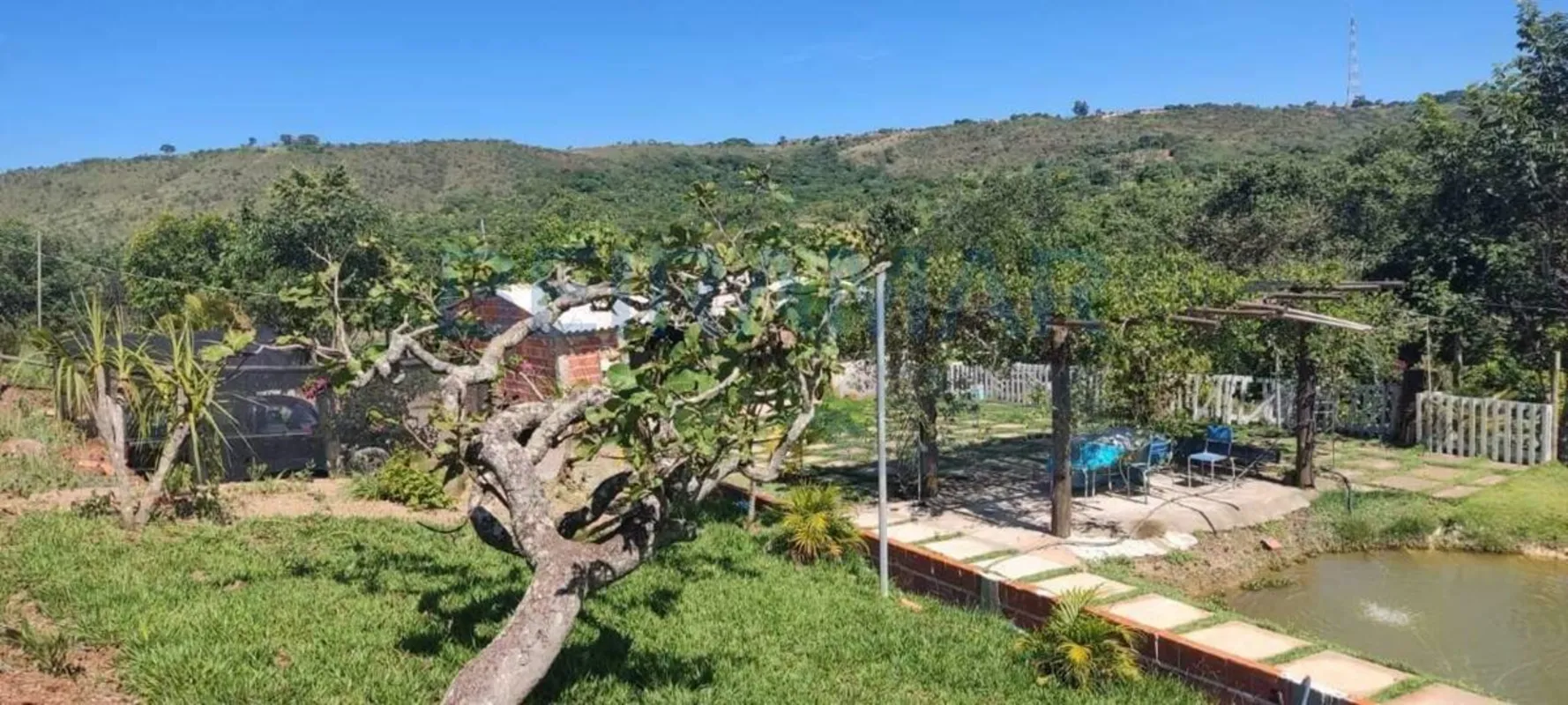 Resumo;1. Escriturada2. 37 mil metros3. Pomar diversificado contendo, 35 pes de ...