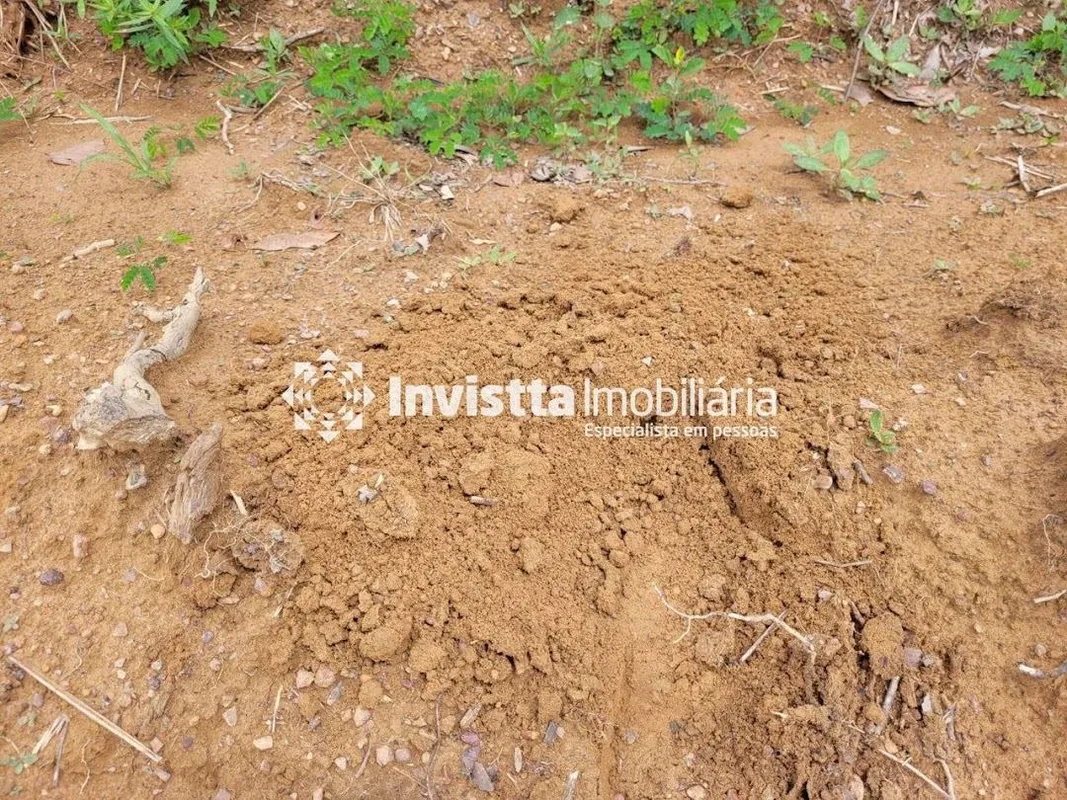 Fazenda com dupla aptidão de 532 alqueires Localizada na região de Pedro Afonso ...