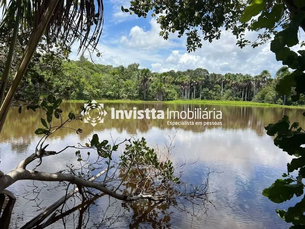 Fazenda 45 Alqueires - Pugmil TO Fazenda para Agricultura ou Pecuária. Benfeitor...