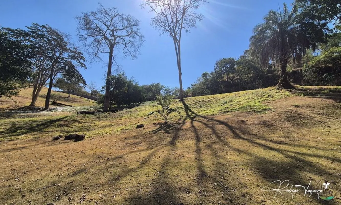 Terreno exclusivo no Aldeia do Vale, com topografia em aclive, ideal para projet...