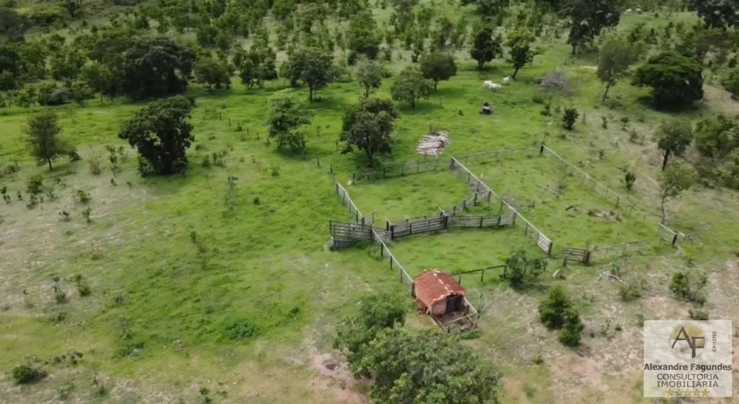  FAZENDA À VENDA REGIÃO DE ARAGUAPAZ (GO) ( melhor acesso por morro agudo. Área ...