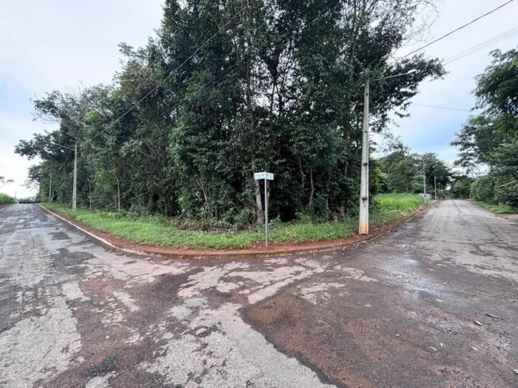 HENRIQUE: 9 8 1 9 8-4 2 4 0 (whatsapp) Chácara com 3.800 metros sendo 50m de fre...