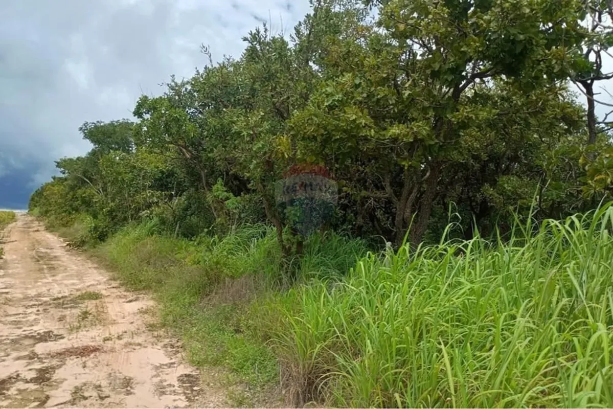 - Trata-se de uma área de 280 hectares, própria para desenvolvimento da atividad...