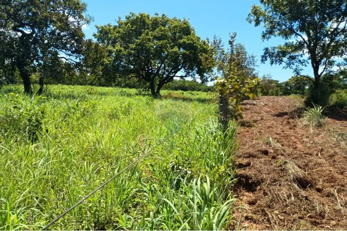 -960 hectares, à 3,6 km da BR 020, região da Vila Santa Maria, próxima à saída p...