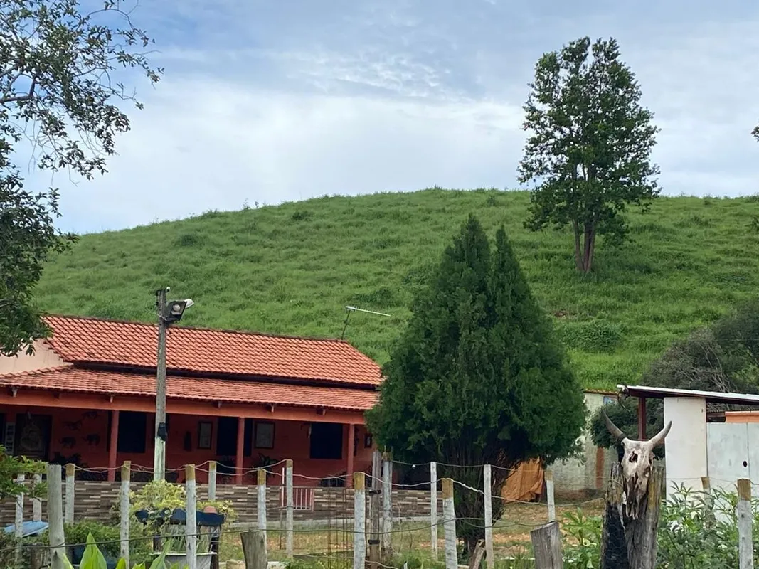 Possui 16 alqueires no total Município de Campinaçu, sendo 13 alqueires todo for...