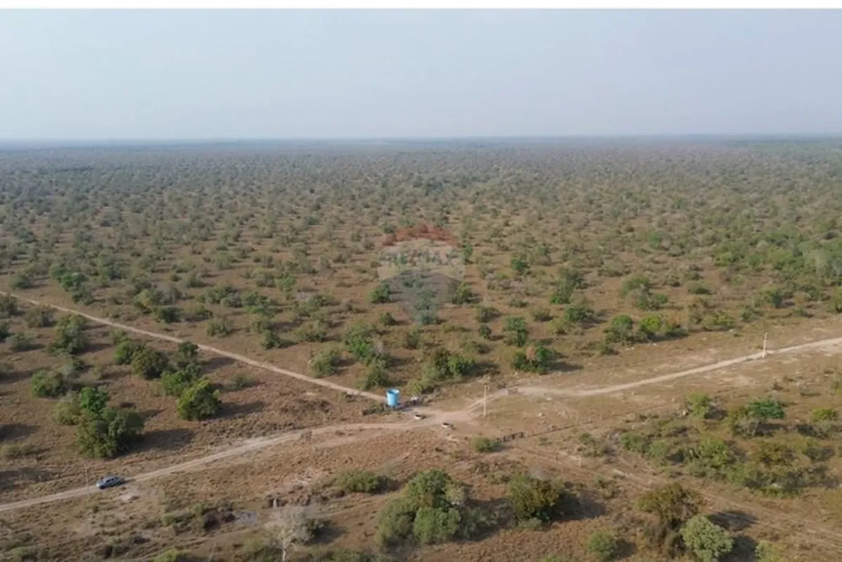 Fazenda Condado Cocalinho-MTÁrea total: 7.798 hectares (aprox. 1.624 Alqueirão)T...