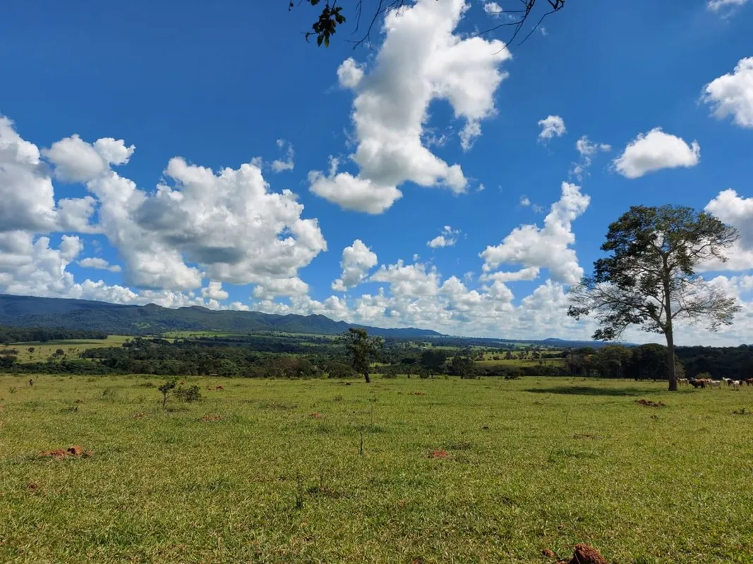 OPORTUNIDADE ÚNICA! ÁREA RURAL À VENDA Vende-se uma excelente gleba de terras co...