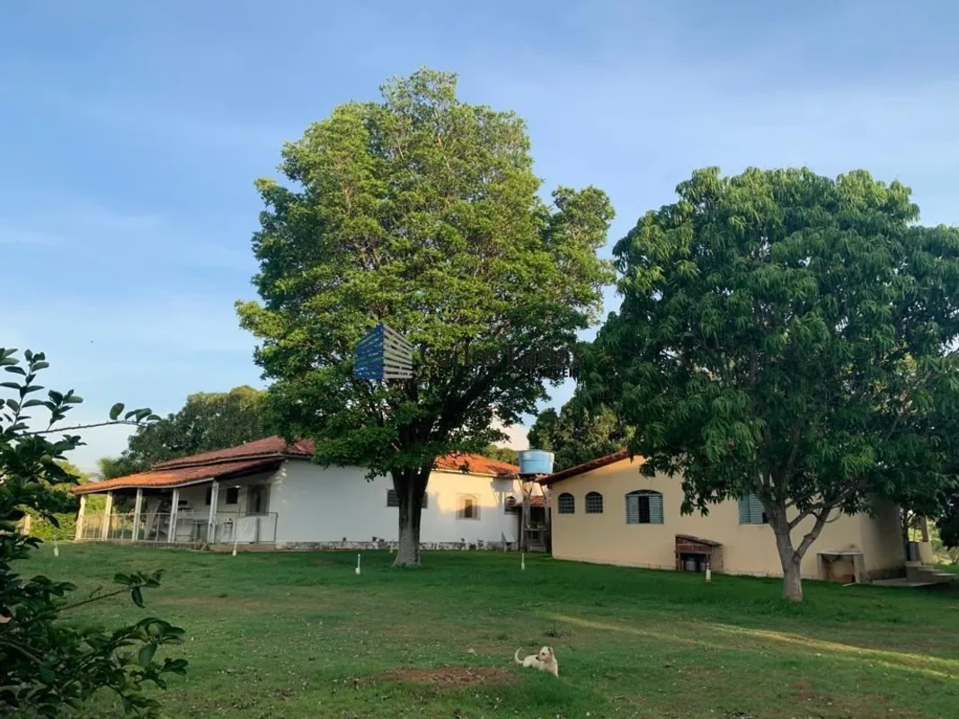 VENDA FAZENDA -MANGA LARGA Fazenda de 248 hectares ideal para pecuária, agricult...