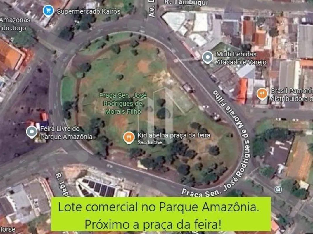 Lote em avenida comercial no Parque Amazônia, com 419 m² de área total e 13 metr...