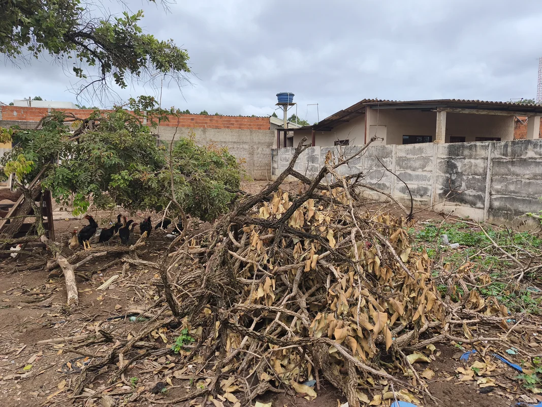 LOTE À VENDA - POUSADA ALFAMA ??Nova Petrópolis / BR 020??? 200m² | Plano | Nasc...