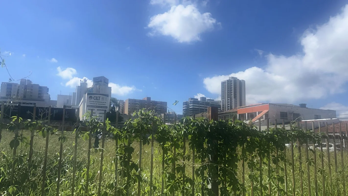 Claudio Sinimbu vende otima area mista para construir comercial quanto residenci...