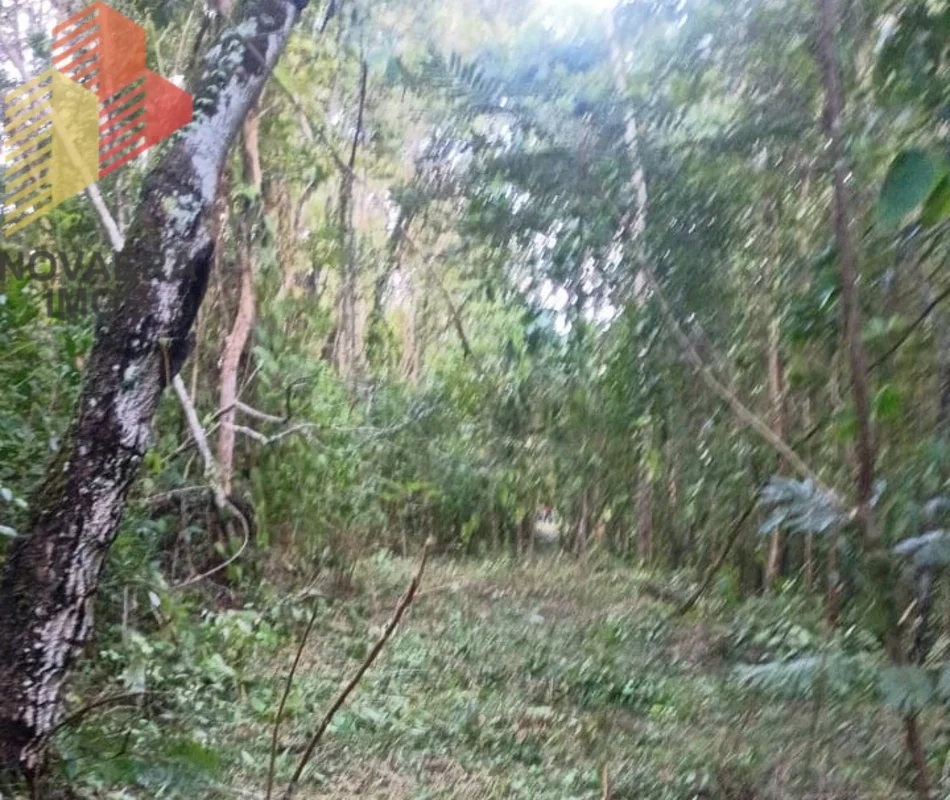 Lote exclusivo no Condomínio Solar da Serra – ampla metragem de 3.687,63 m² com ...