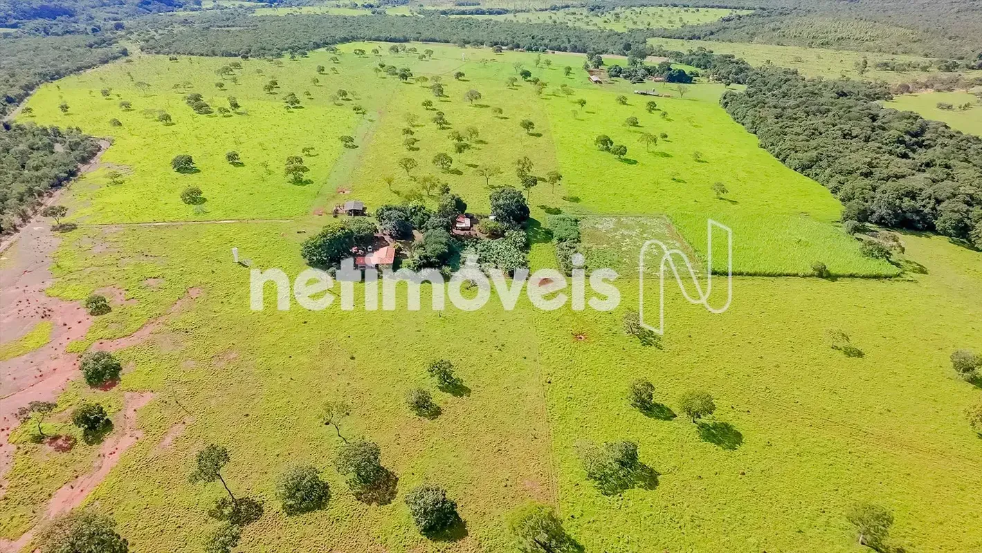 Fazenda na regiao de Unaí para dupla aptidao, area toda plana 90 hectares atualm...