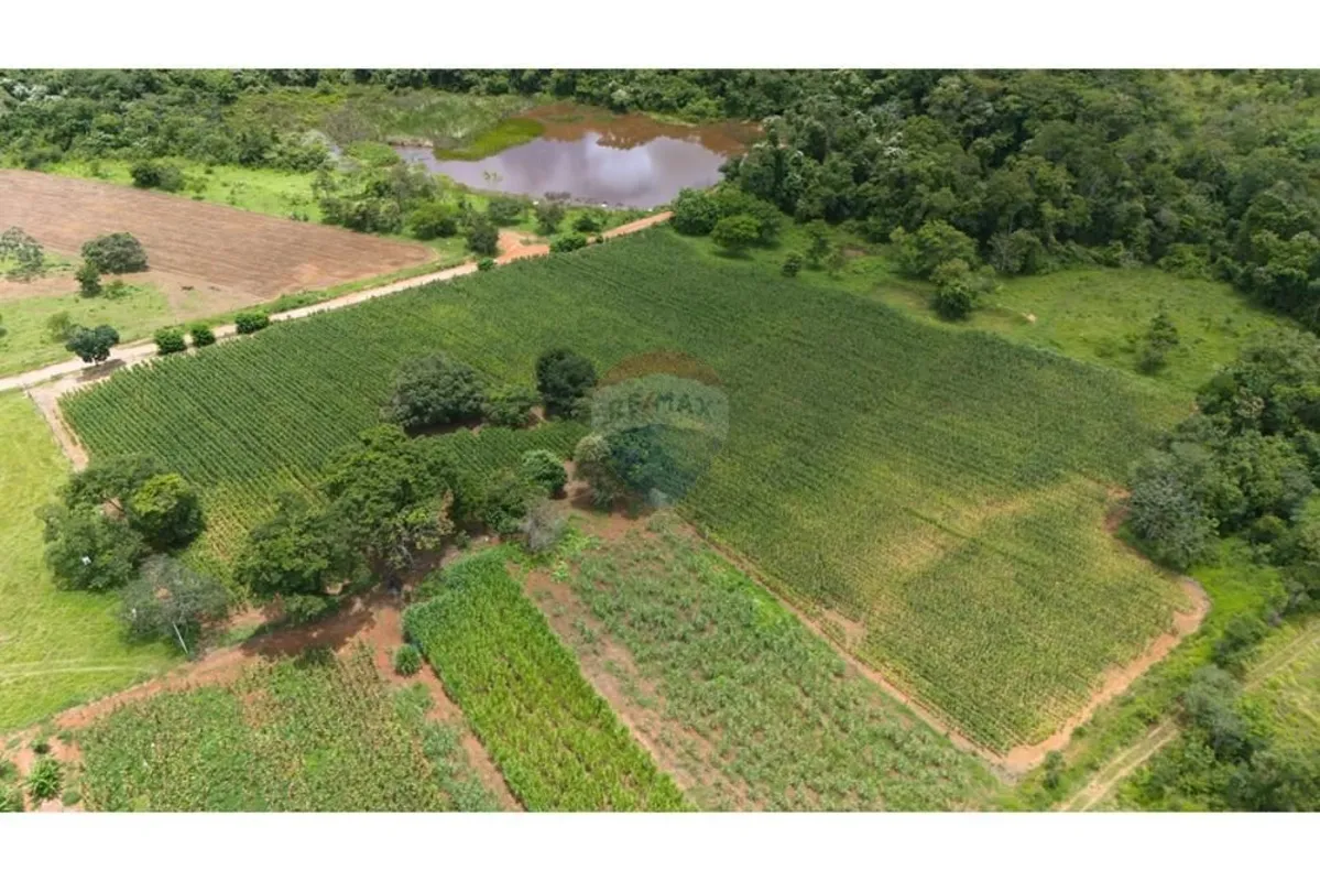CHÁCARA ESCRITURADA totalmente cercada no arame liso, 210.000 m2 com pasto, terr...