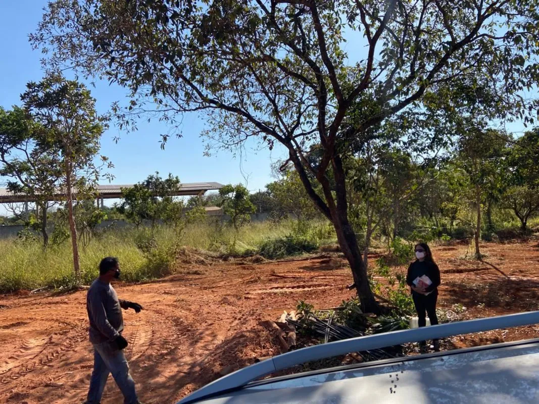 Foto do Imóvel