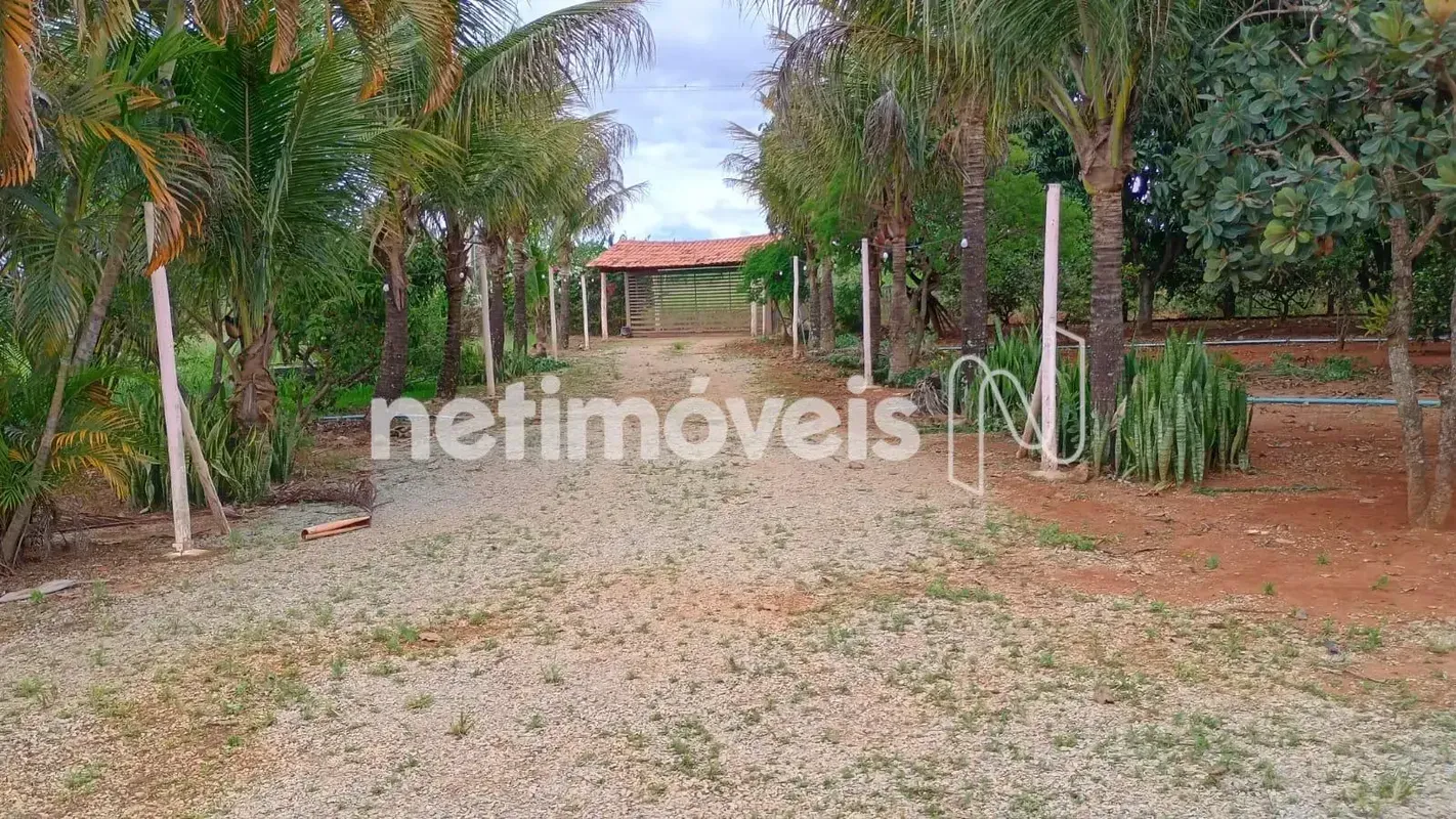 Chácara Completa 4,5 Hectares em Brazlândia – Estrutura Pronta e Totalmente Func...